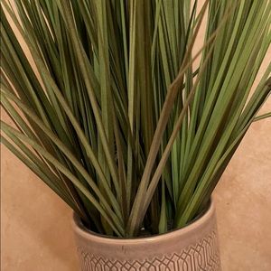 Meet your Posher, Gerardo